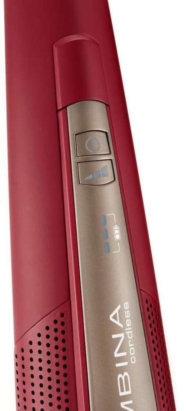 Пылесос (электрощетка) DeLonghi XLR18LM.R- фото3